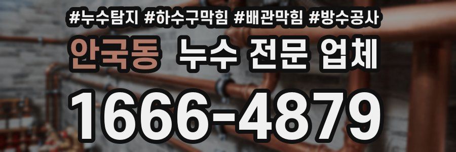 안국동 누수 전문 업체