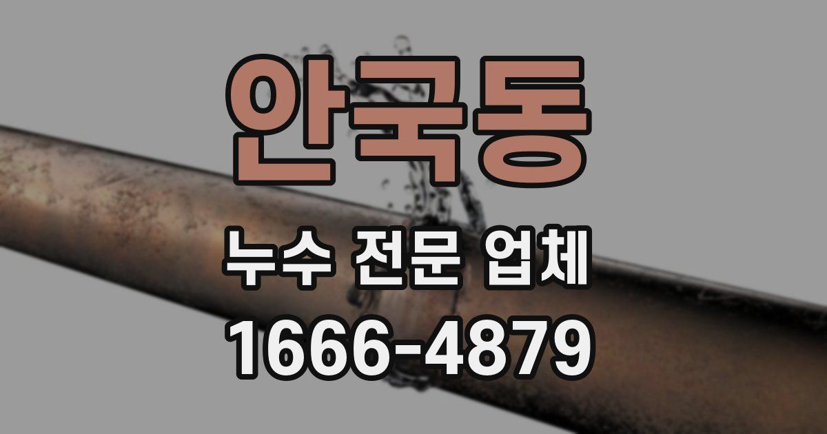 안국동 누수 전문 업체