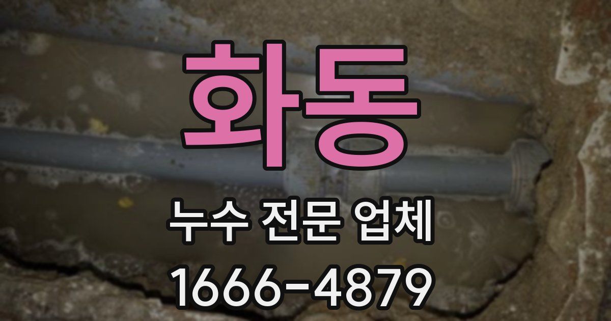 화동 누수 전문 업체