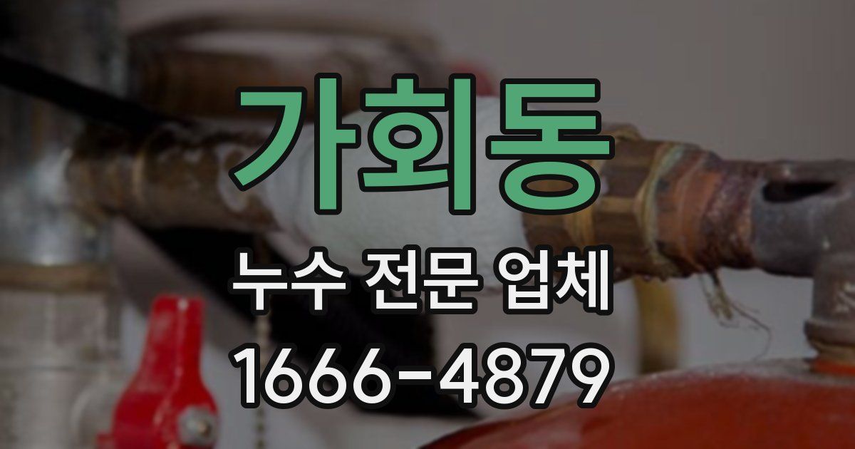가회동 누수 전문 업체
