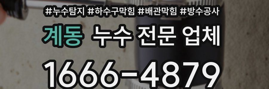 계동 누수 전문 업체