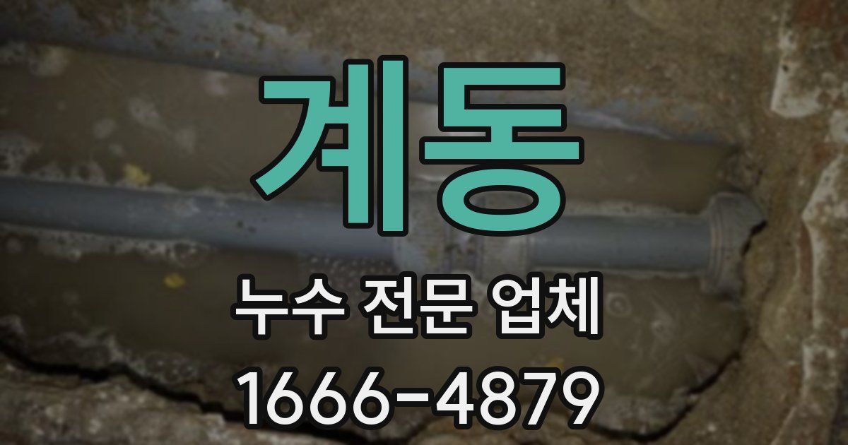 계동 누수 전문 업체