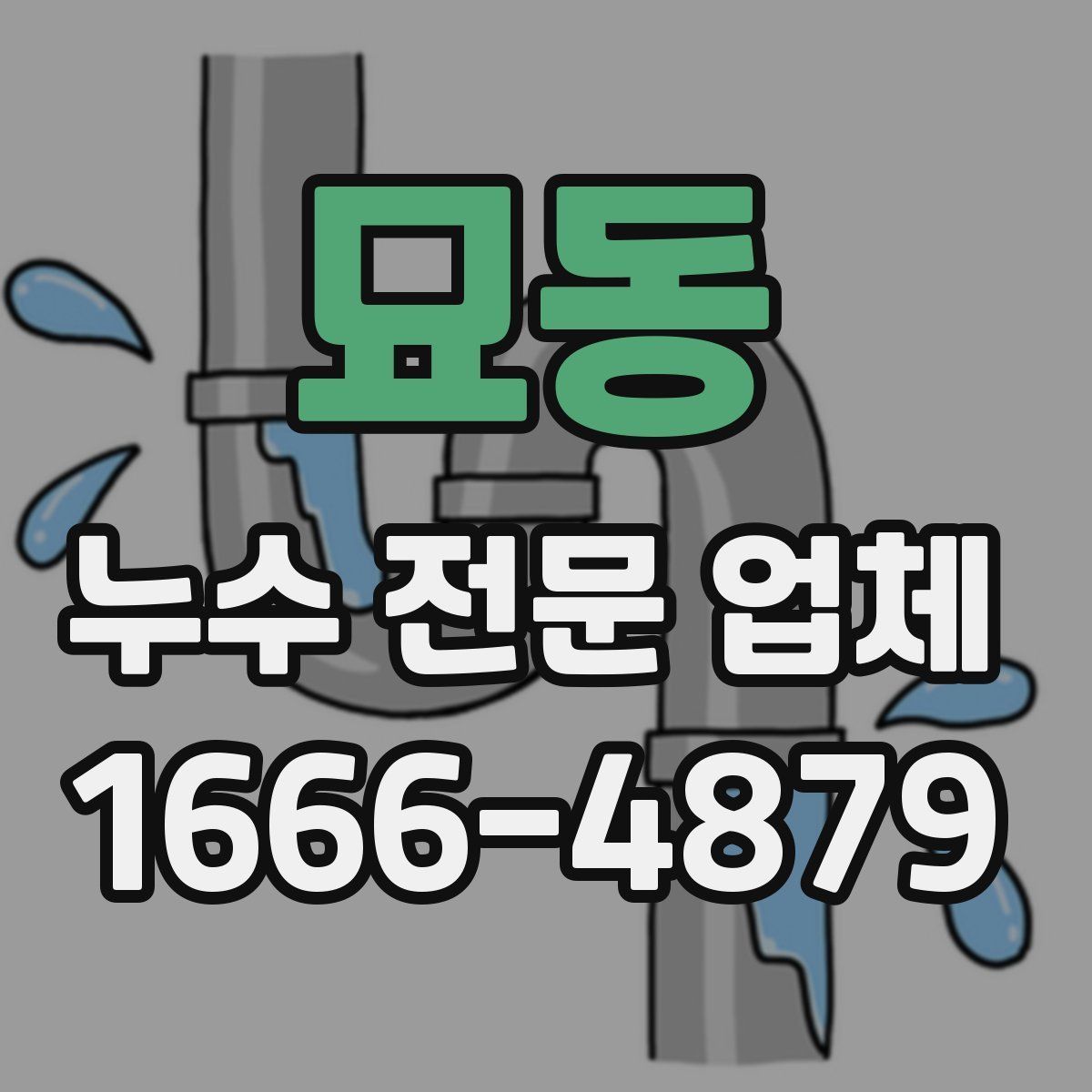묘동 누수 전문 업체