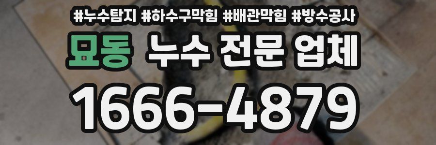 묘동 누수 전문 업체