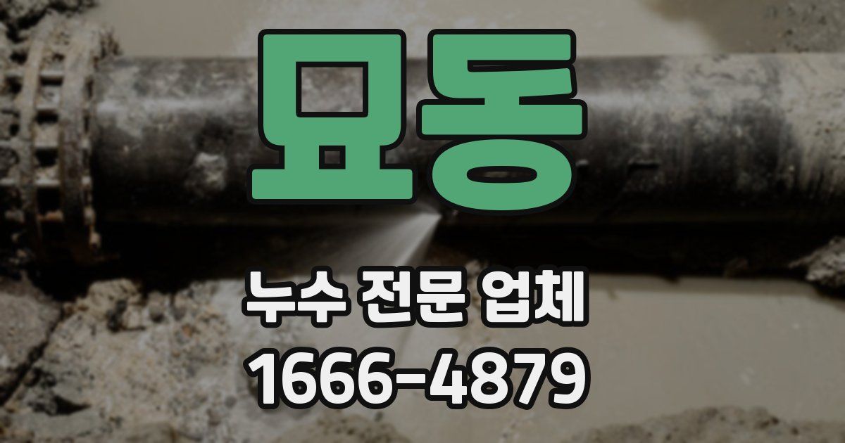 묘동 누수 전문 업체