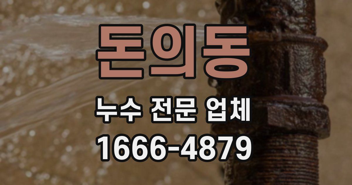 돈의동 누수 전문 업체