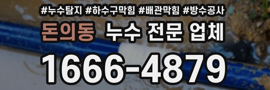 돈의동 누수 전문 업체