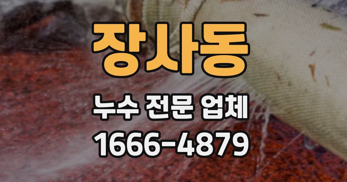 장사동 누수 전문 업체