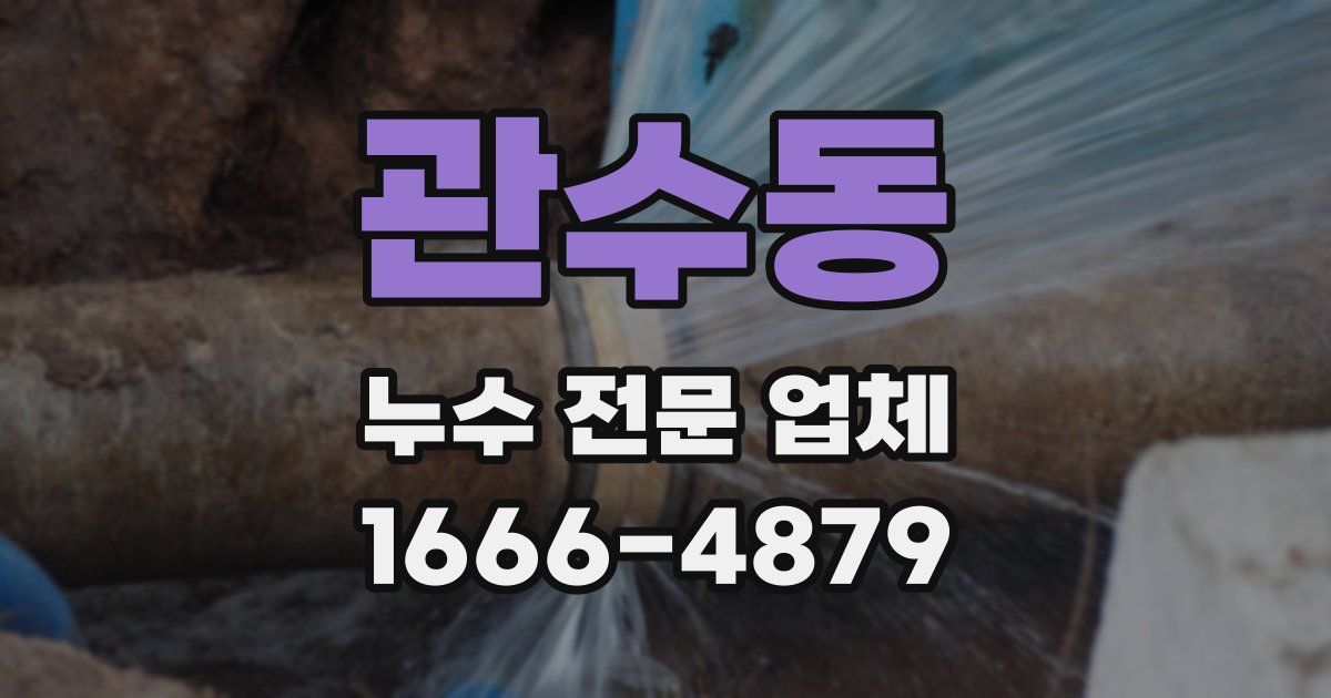 관수동 누수 전문 업체