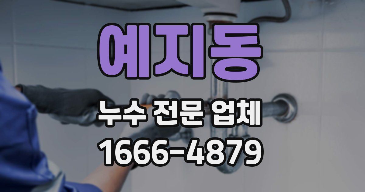 예지동 누수 전문 업체