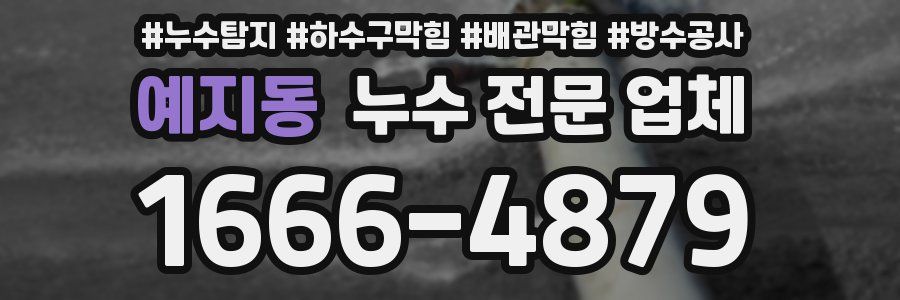 예지동 누수 전문 업체