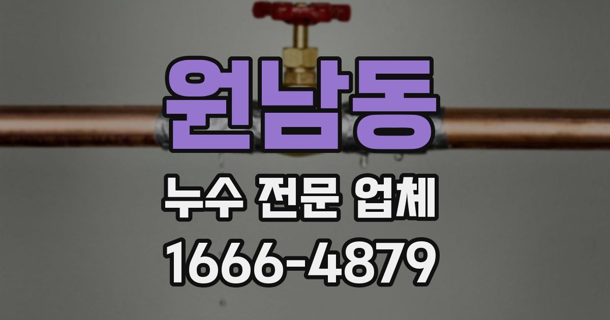원남동 누수 전문 업체