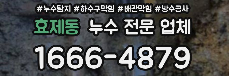 효제동 누수 전문 업체