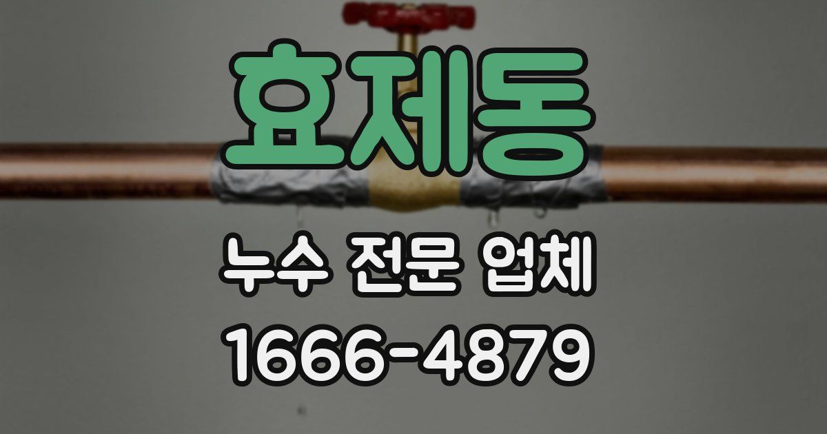 효제동 누수 전문 업체