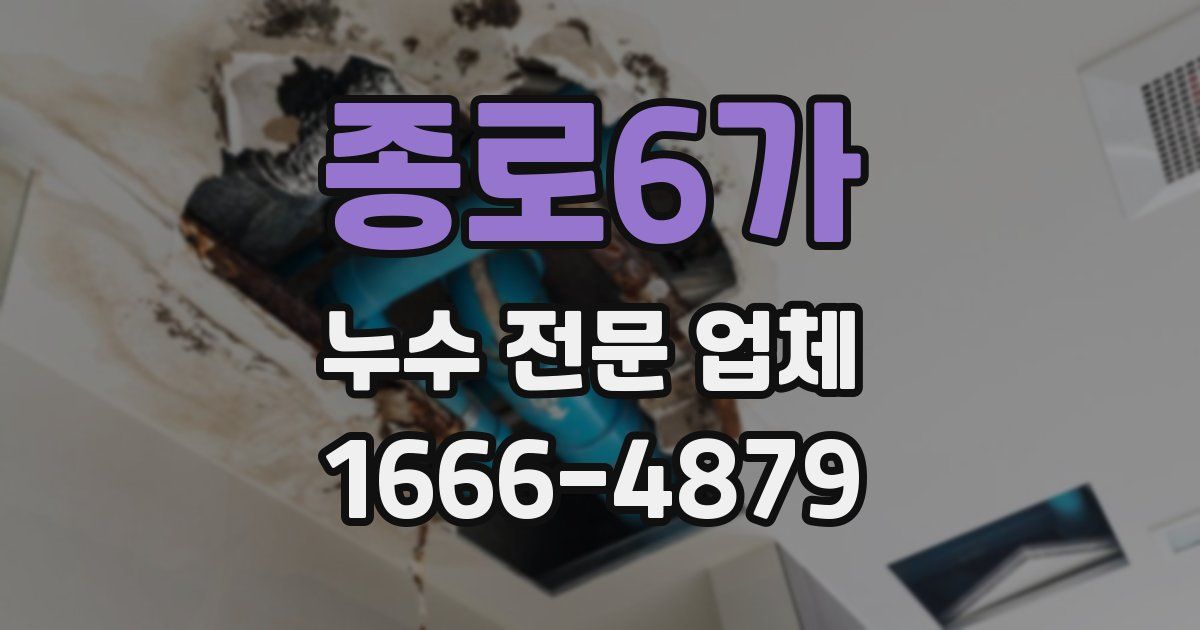 종로6가 누수 전문 업체