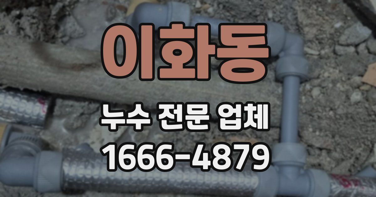 이화동 누수 전문 업체