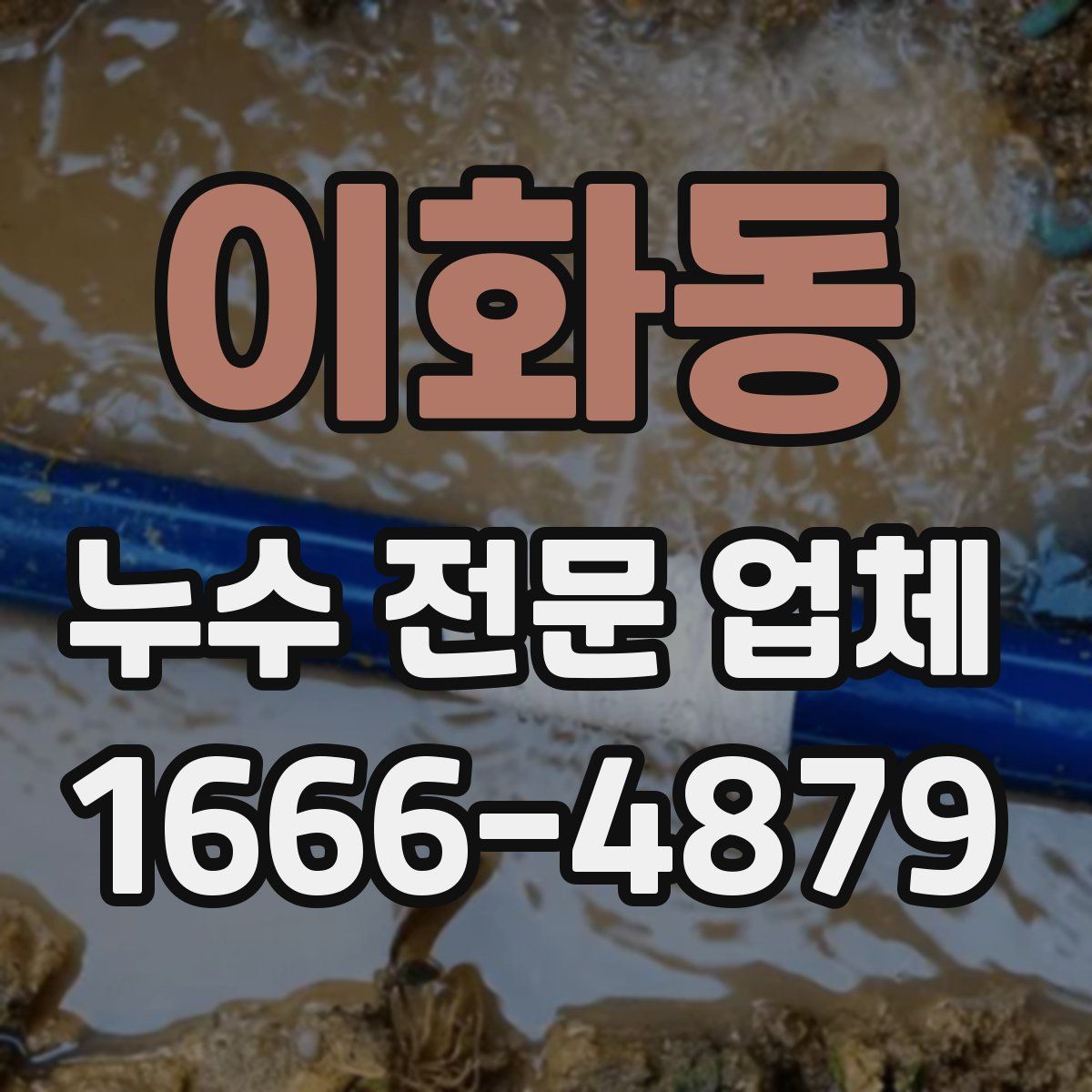 이화동 누수 전문 업체