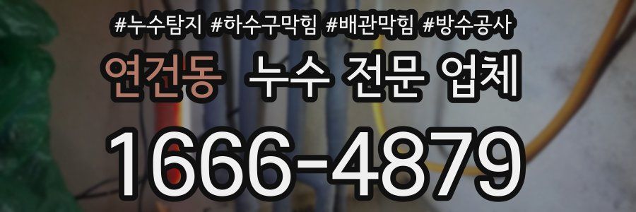 연건동 누수 전문 업체