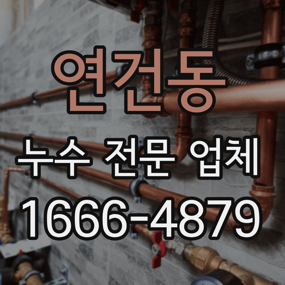 연건동 누수 전문 업체