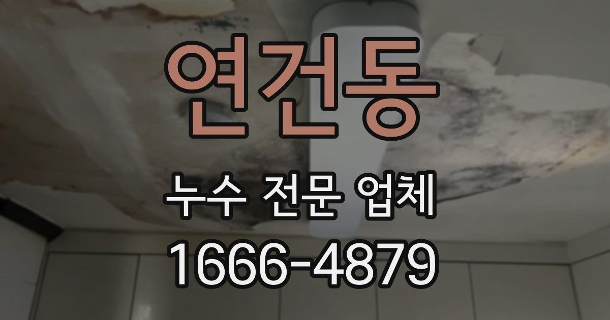 연건동 누수 전문 업체
