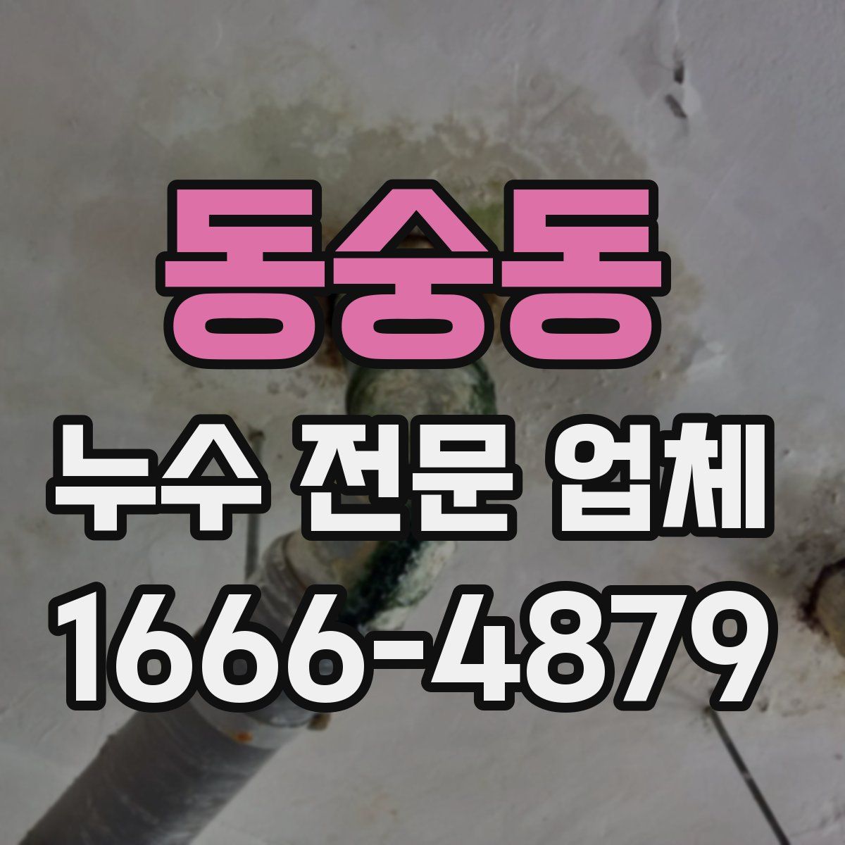 동숭동 누수 전문 업체