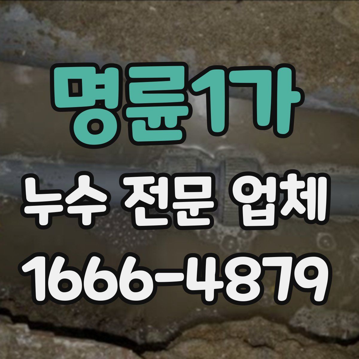 명륜1가 누수 전문 업체