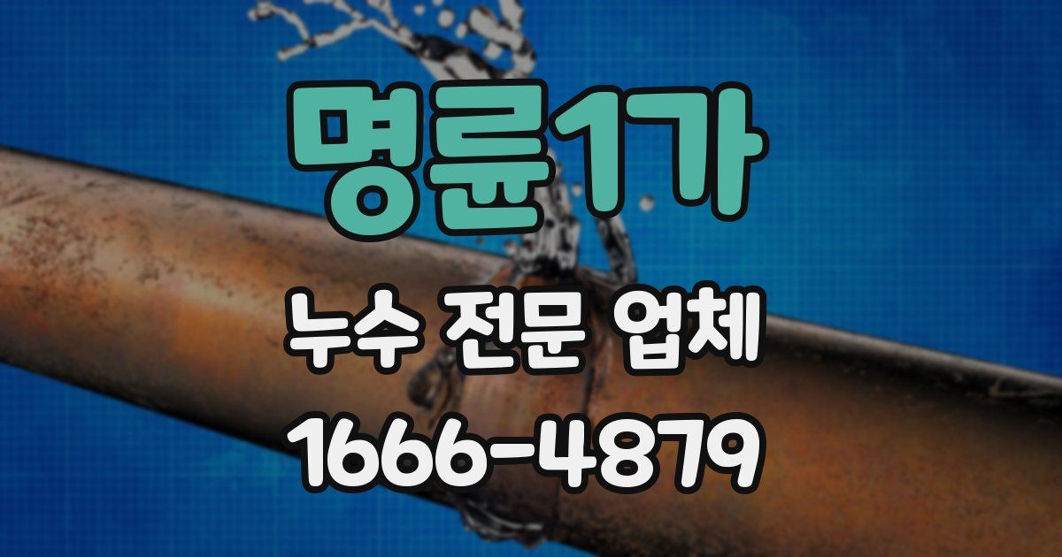 명륜1가 누수 전문 업체
