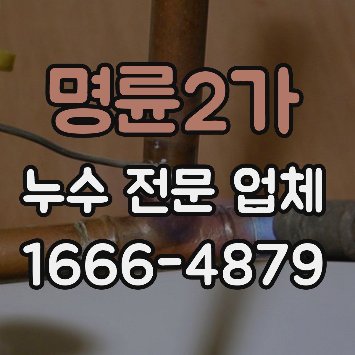 명륜2가 누수 전문 업체