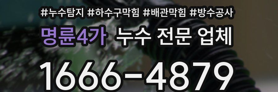 명륜4가 누수 전문 업체