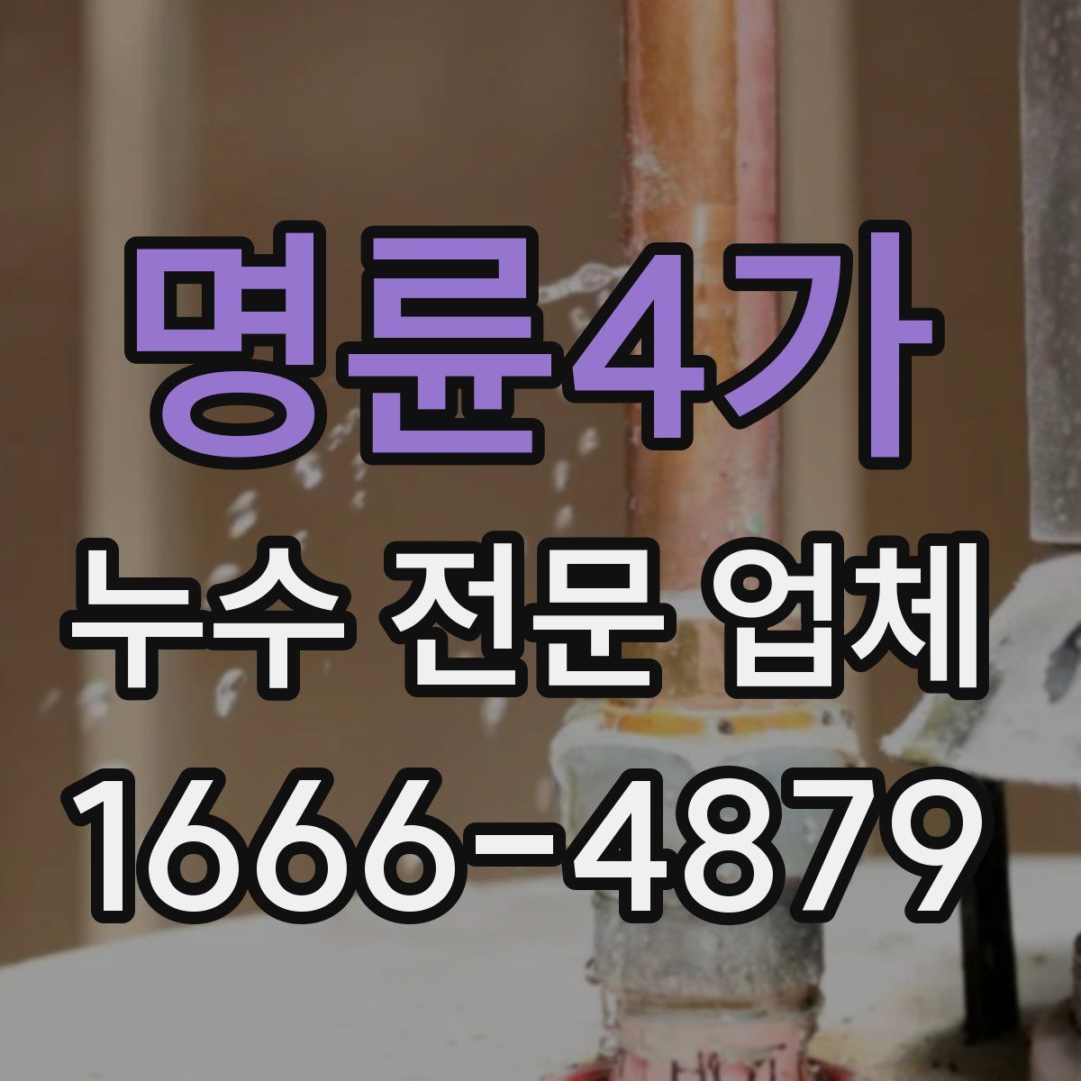 명륜4가 누수 전문 업체