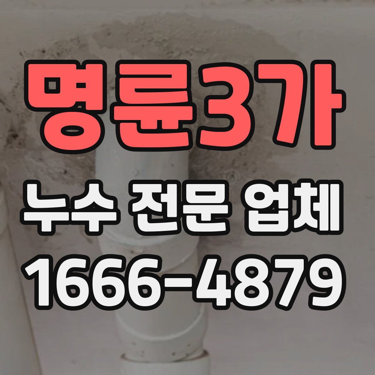 명륜3가 누수 전문 업체