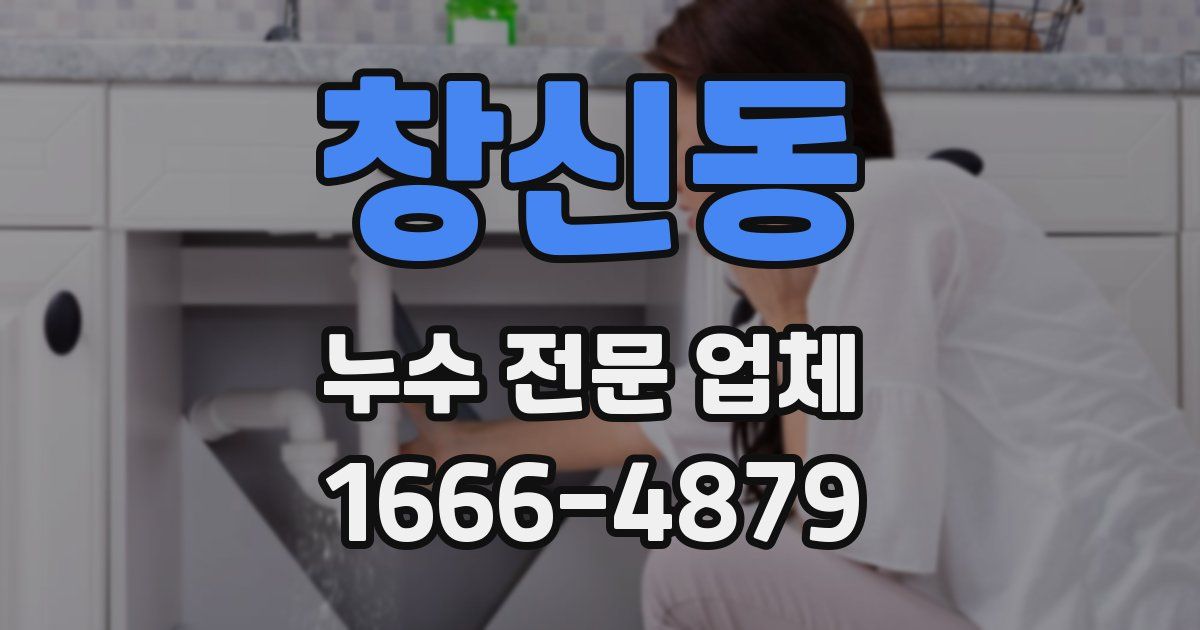 창신동 누수 전문 업체