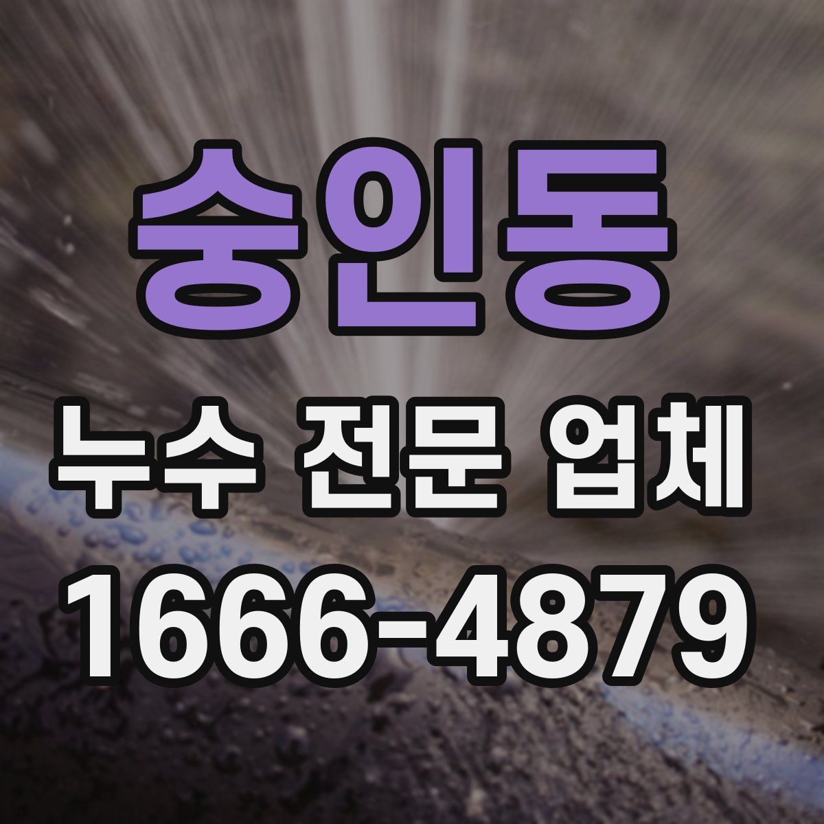 숭인동 누수 전문 업체