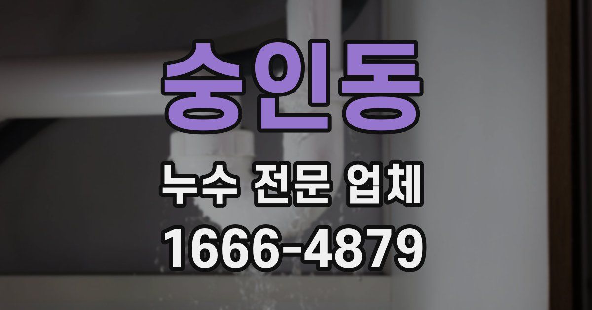 숭인동 누수 전문 업체