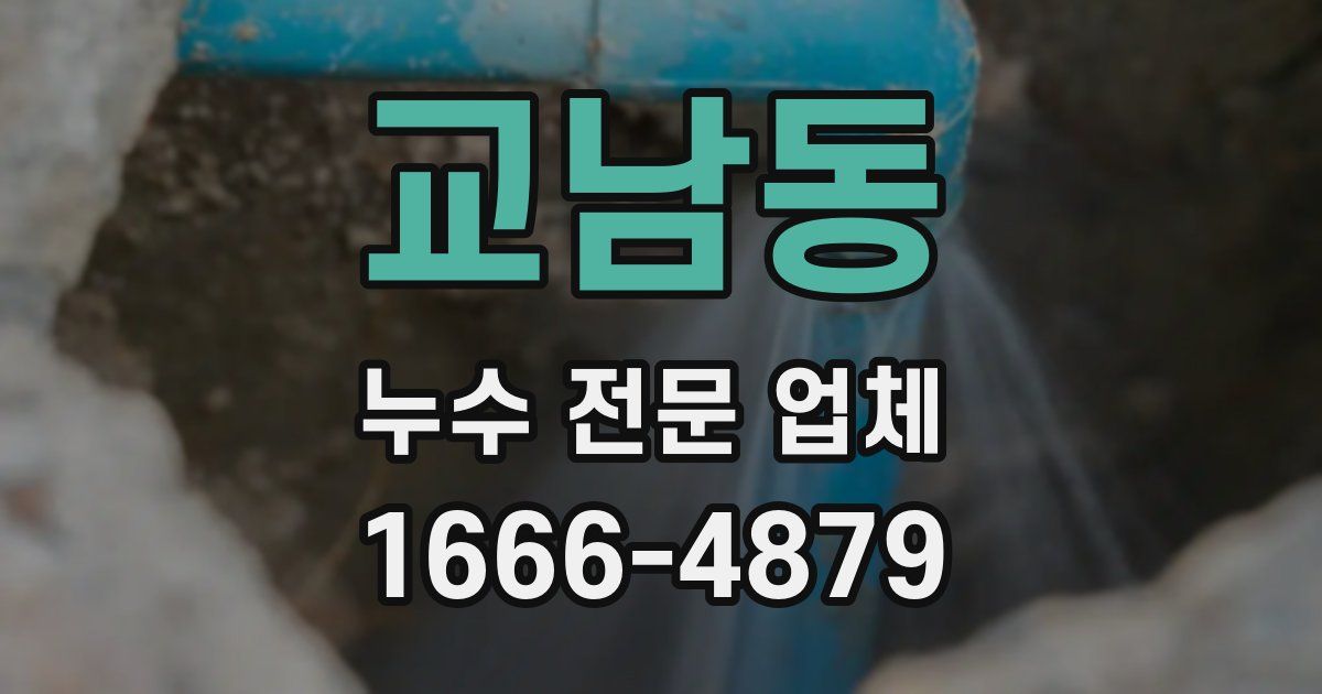 교남동 누수 전문 업체