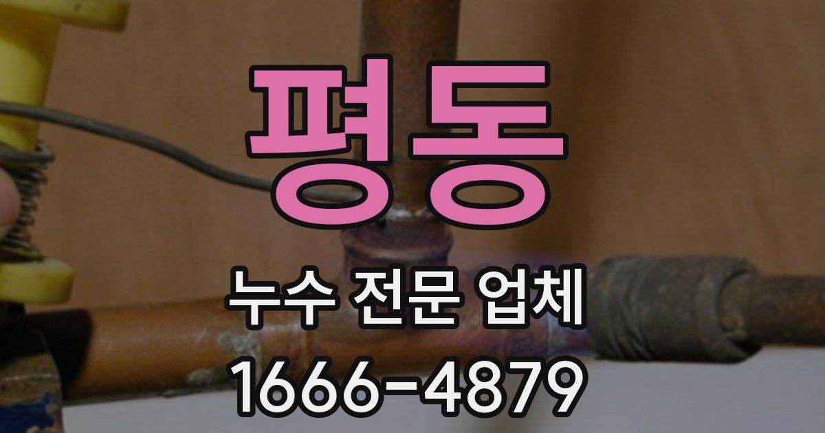 평동 누수 전문 업체