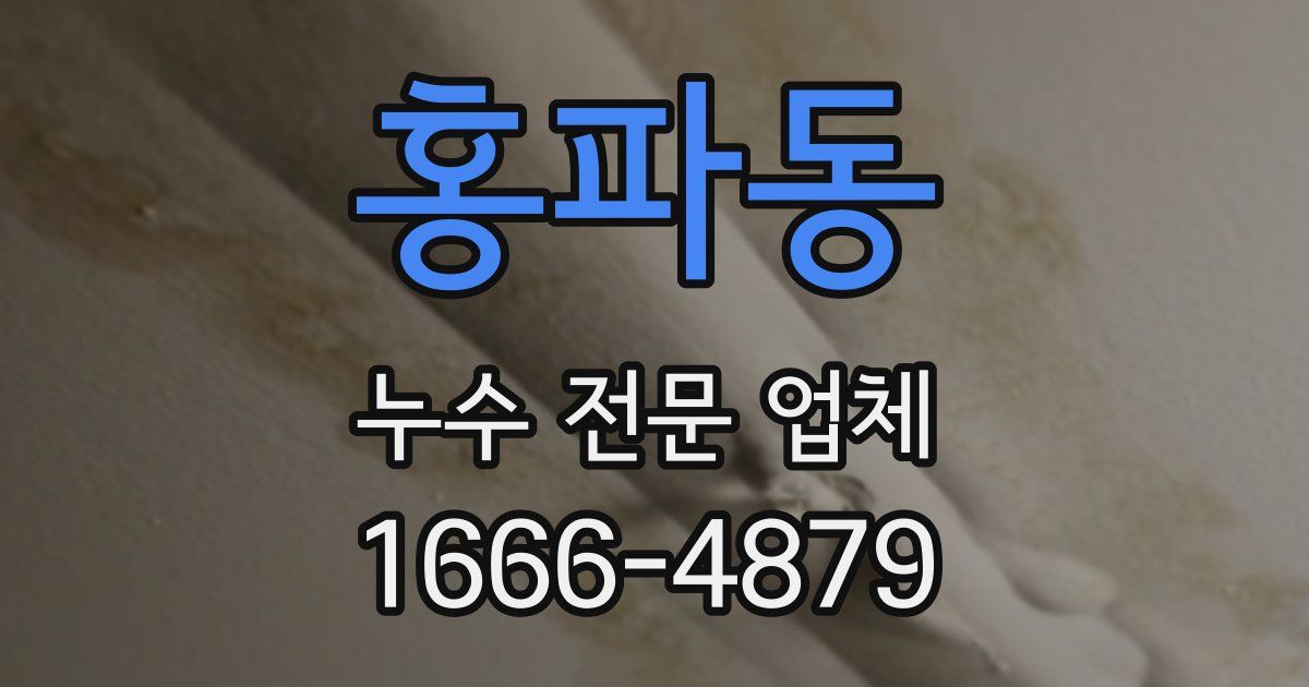 홍파동 누수 전문 업체