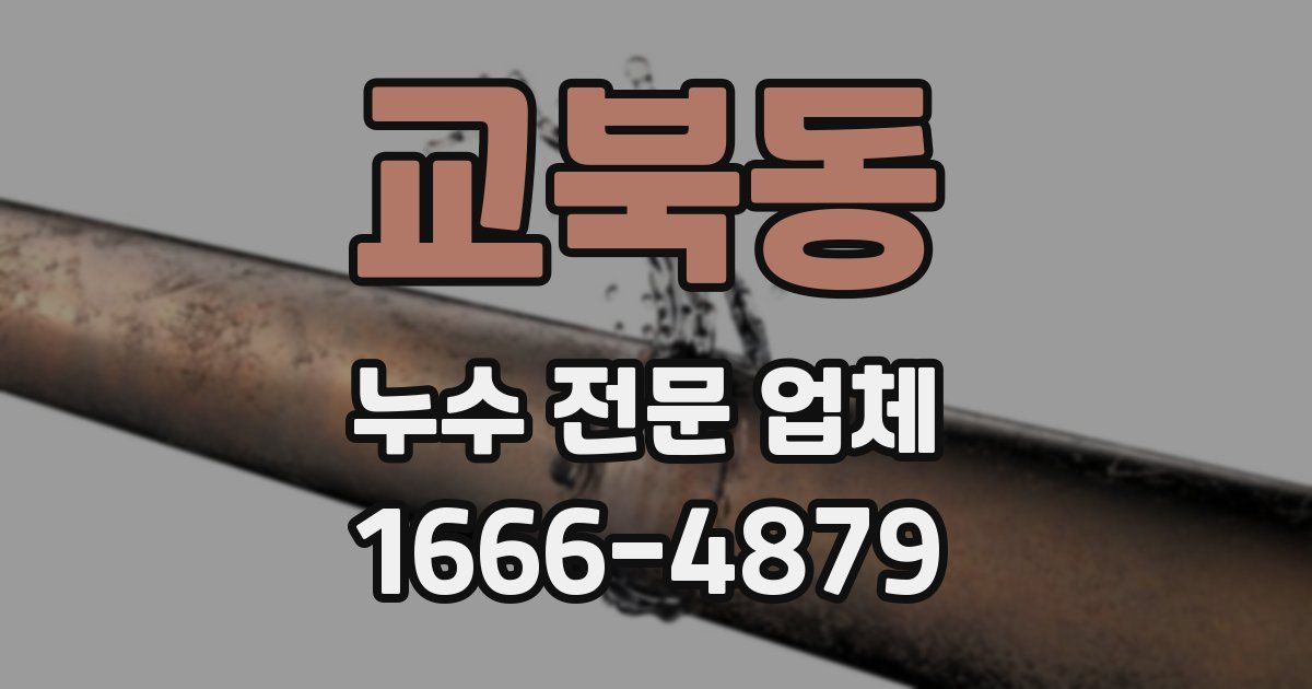 교북동 누수 전문 업체