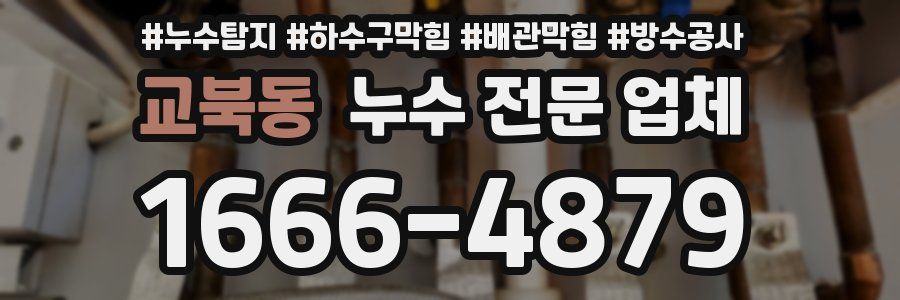 교북동 누수 전문 업체