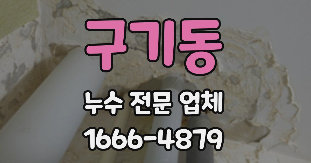 구기동 누수 전문 업체