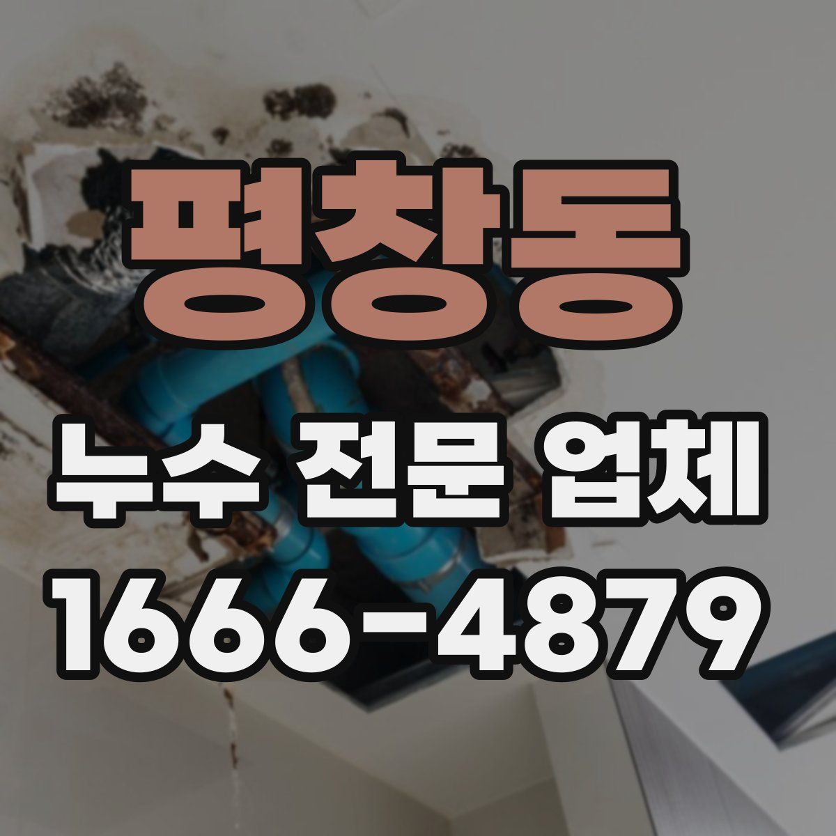 평창동 누수 전문 업체