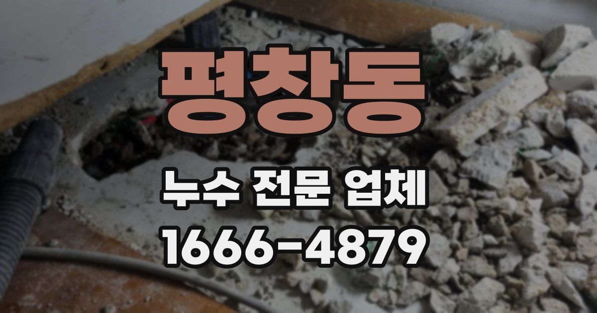 평창동 누수 전문 업체