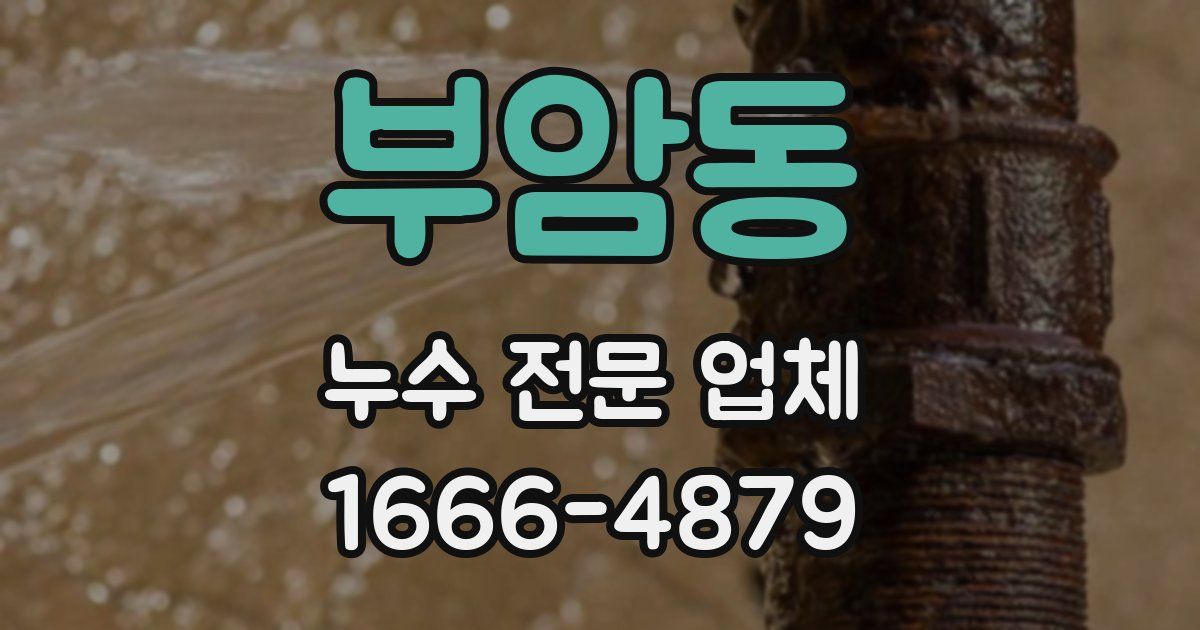 부암동 누수 전문 업체