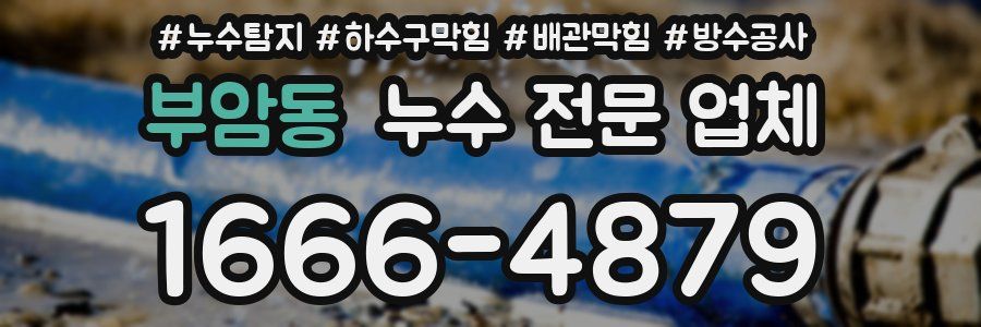 부암동 누수 전문 업체