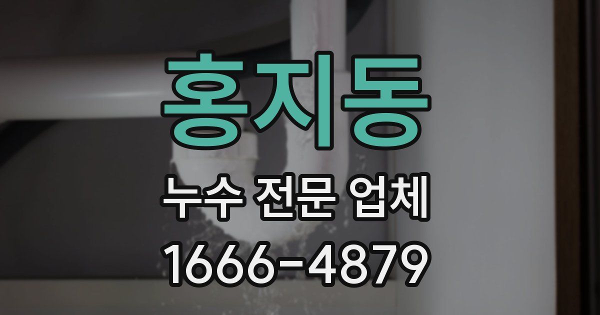 홍지동 누수 전문 업체