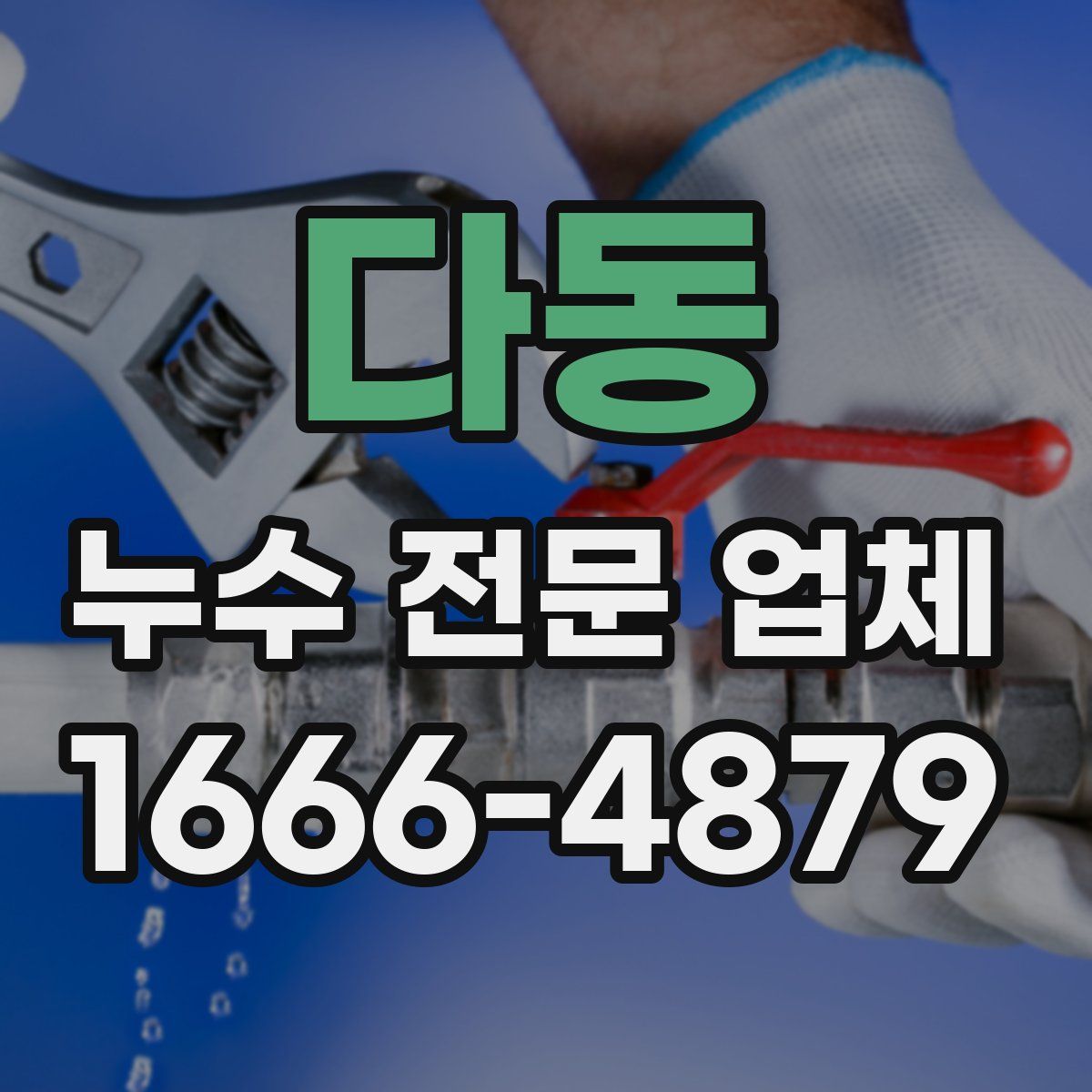 다동 누수 전문 업체