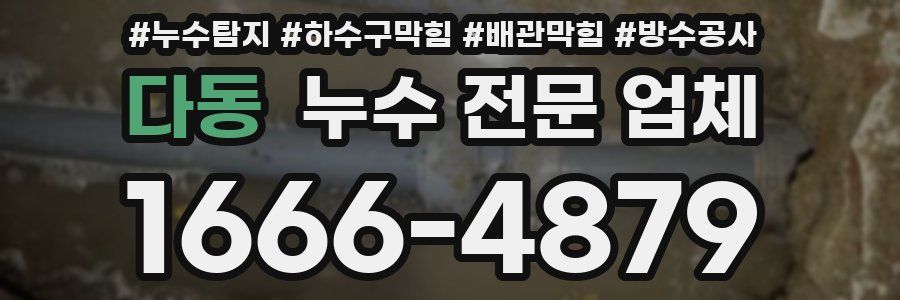 다동 누수 전문 업체
