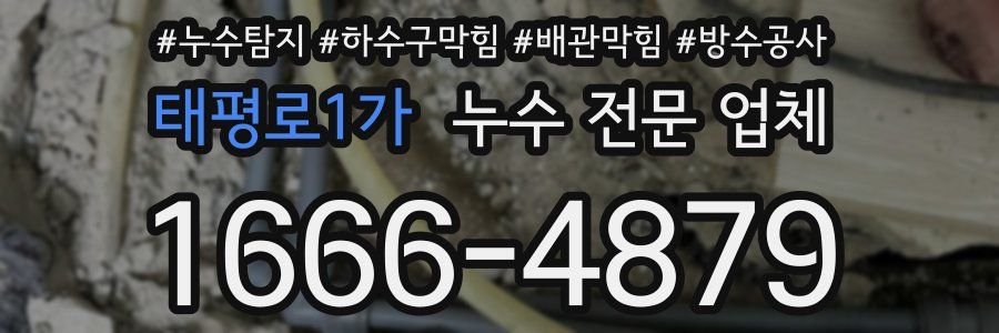 태평로1가 누수 전문 업체