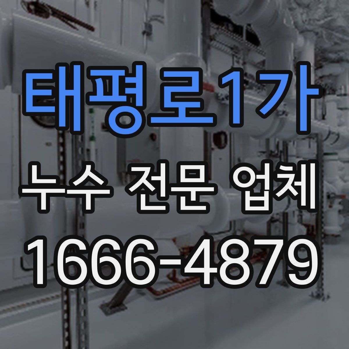 태평로1가 누수 전문 업체