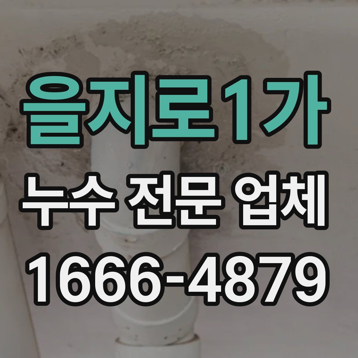 을지로1가 누수 전문 업체